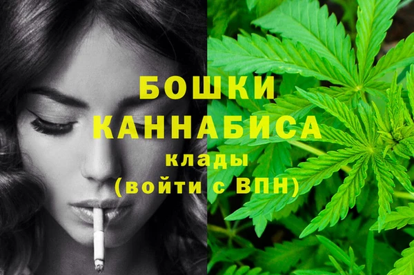 молекула духа Богданович