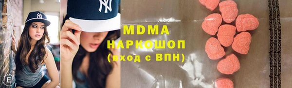 молекула духа Богданович