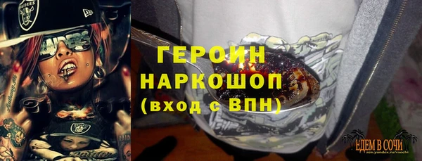 молекула духа Богданович