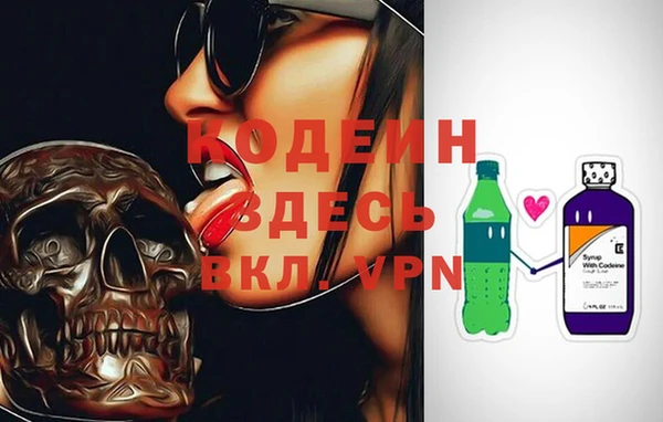 молекула духа Богданович